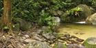 Wurrmbu Creek - Mossman Gorge - QLD H (PBH4 00 17008)